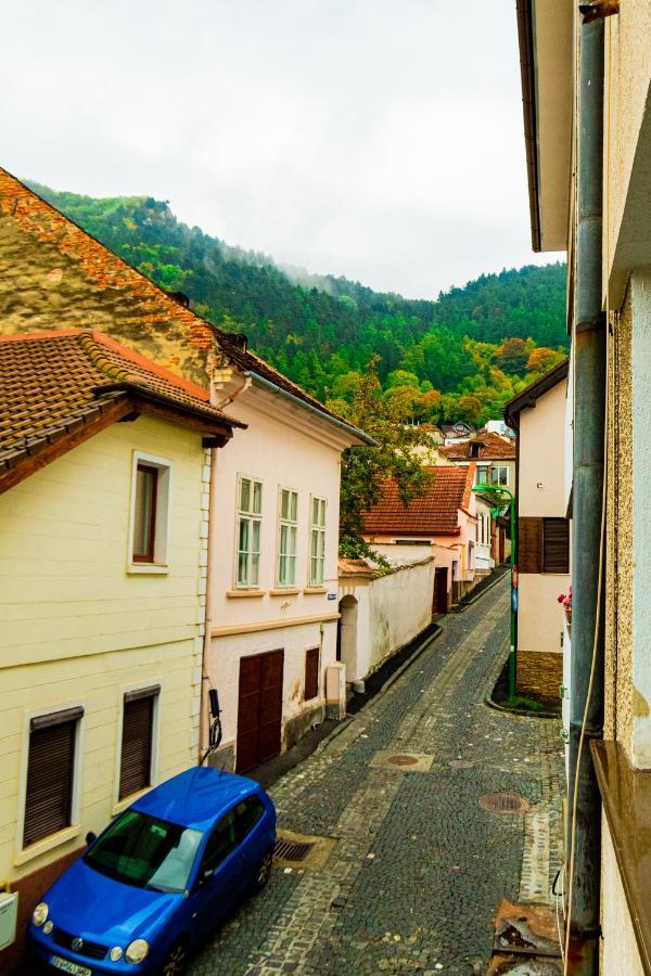 Ardor Apt - Bright And Secluded Apartment In The Heart Of Old Town Braşov Esterno foto
